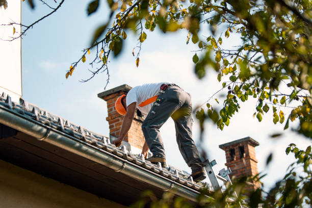 Best Roof Replacement Cost  in Orange City, FL