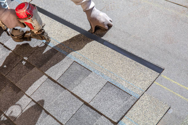 Best Shingle Roofing Installation  in Orange City, FL